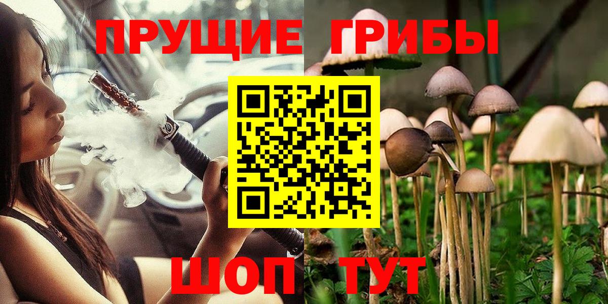 Псилоцибиновые грибы MAGIC MUSHROOMS  Вход с VPN  Коряжма  Псилоцибиновые грибы Cubensis 